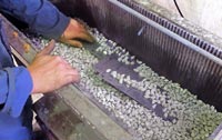Vibratory trough in action